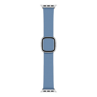 Apple 40 毫米菊蓝色现代风扣式表带 - 大号