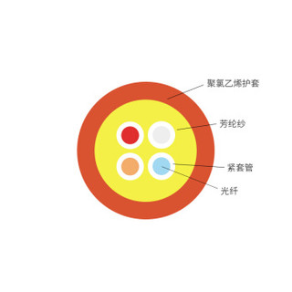 海乐（Haile）12芯千兆多模OM2室内光纤光缆 50/125 GJFJV 束状软光缆 100米（总长度可订制）HT-200-12MD