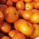 味众 武鸣沃柑橘子 10斤 超值装