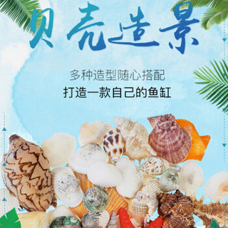 憨憨乐园 鱼缸装饰造景套餐摆件小型水族箱办公室桌面迷你缸仿真造景布景水草磨砂石海螺贝壳套装