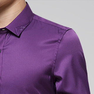 卡帝乐鳄鱼（CARTELO）衬衫 男士潮流休闲百搭加绒加厚保暖绣花长袖衬衣A180-1701紫色5XL