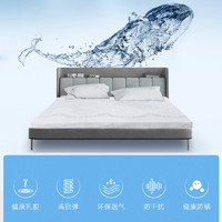 舒达（Serta）乳胶床垫 单双人床垫 床褥 榻榻米可折叠薄垫子 白鲸1.5m