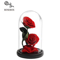 RoseBox 玫瑰盒子 永生花  礼盒红玫瑰花 2朵