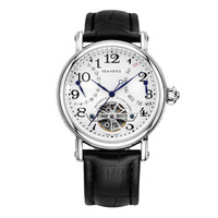 SEA-GULL 海鸥 巨匠系列 M171S 男士自动机械手表