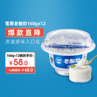 兰格格风味老酸奶整箱装160g*12  早餐发酵型自制炒酸奶