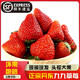 京东PLUS会员：丹东 九九草莓  3斤装 +凑单品
