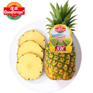 佳农 菲律宾菠萝 1个装 单果重900g~1100g 自营生鲜水果