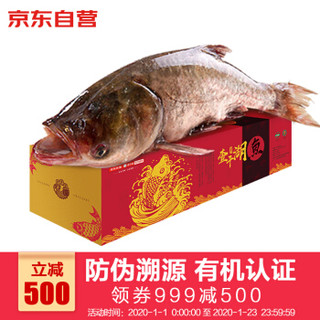 查干湖鱼 冷冻有机胖头鱼 冬捕三号 12.5-13斤 1条 海鲜礼盒 年货送礼