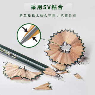 辉柏嘉 德国辉柏嘉（Faber-castell）9000素描铅笔常用HB2B4B6B8B绘画初学者学生用成人绘图素描套装5支装