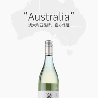 澳洲进口红酒 天树（Tempus Two）天树银选长相思白葡萄酒 AVL澳大利亚佳酿行货 750ml/支