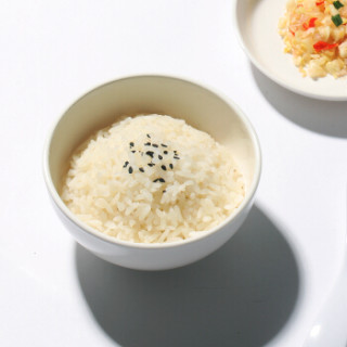 盛广达纯白密胺米饭碗酒店用品耐摔餐具约45英寸汤碗12只装