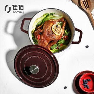 佳佰 铸铁汤锅 炖煮锅 珐琅锅搪瓷锅  直火电磁炉通用 双耳圆形  24cm-棕红色