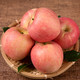 陕西红富士苹果 带箱10斤 果径70-75mm