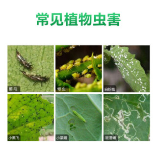德沃多花卉植物杀虫剂通用蚧介壳虫蚜虫红蜘蛛小黑飞虫室内盆栽家用除花虫 报价价格评测怎么样 什么值得买