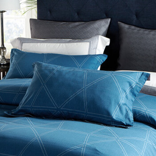 LOVO 四件套全棉60支高支高密时尚纯棉床单被套床品套件 维纳尔200*230cm蓝色