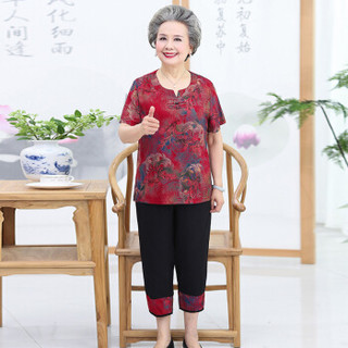 凡淑 2019夏季新品女装新款奶奶装套装老年人短袖t恤60-70岁妈妈装老太太两件套 JXALWNL035 2号色 5XL