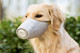 狗狗口罩N95宠物防病毒防雾霾PM2.5专用防护防咬防叫狗嘴套口套