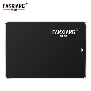 FANXIANG 梵想 S101  SATA3固态硬盘 960GB