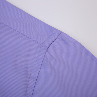 雅鹿 男士衬衫 2019夏季新款时尚商务正装百搭免烫纯色薄款男士休闲衬衫 18520005 紫色（长袖） 40/XL
