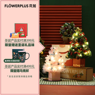 FlowerPlus 花加 仿真圣诞树套餐 60cm