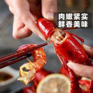 鲜佰客 麻辣小龙虾4-6钱/只 净含量500g