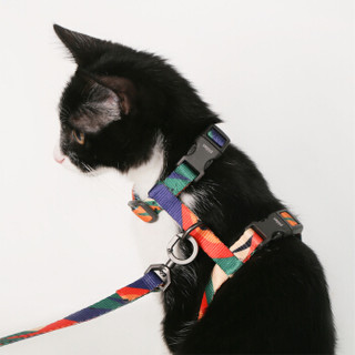 pidan 彼诞 猫用牵引绳 组合款 胸背带防挣脱宠物猫绳可伸缩出行 高品质宠物用品 银黑素色