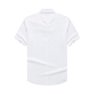 雅戈尔 衬衫女士 2019春季青年女休闲短袖衬衫 YSVP19001BQF白色 37N