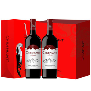 智利原瓶进口红酒  智象安第斯佳美娜干红葡萄酒750ml*2双支精美礼盒含手提袋