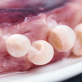 品珍鲜活 冷冻大章鱼足500g/袋（3-4条） 八本足 冻鱿鱼须 八爪鱼 海鲜水产