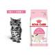 ROYAL CANIN 皇家猫粮 BK34 猫奶糕粮 10kg