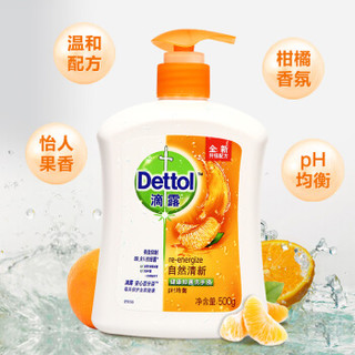 滴露（Dettol）抑菌洗手液 柑橘沁爽 500送300g*12套（整箱销售）易冲洗