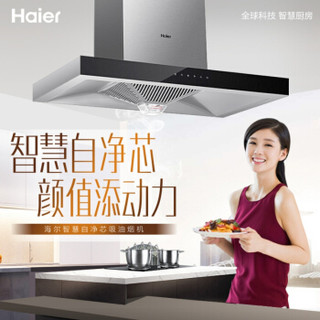 海尔（Haier）自清洗18立方吸排油烟机CXW-200-E900T6RW嵌入式鸳鸯火大火力燃气灶QE5B1(20Y)液化气两件套