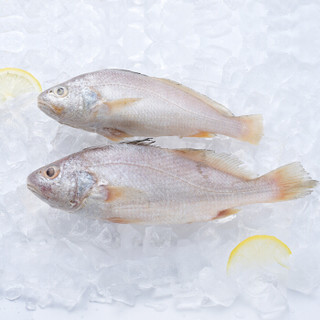 海悦食品 深海野生小黄鱼 500g 3-4条