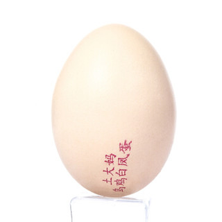 土大妈乌鸡蛋20枚白凤蛋泰和原产地新鲜安全有营养
