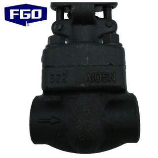 FGO 锻钢对焊闸阀 高压高温 Z61Y-900LB  对焊DN50 2