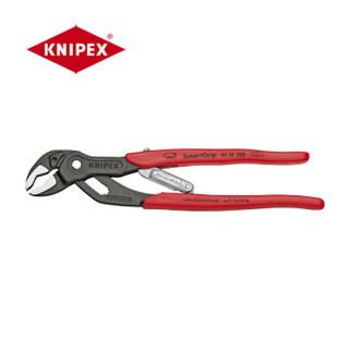 凯尼派克（KNIPEX）85 01 250 多功能管钳定制 (期货货期8周)