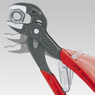 凯尼派克（KNIPEX）85 01 250 多功能管钳定制 (期货货期8周)