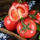 攀枝花米易西红柿 露天沙瓤西红柿 新鲜水果 应季蔬菜番茄孕妇 5斤