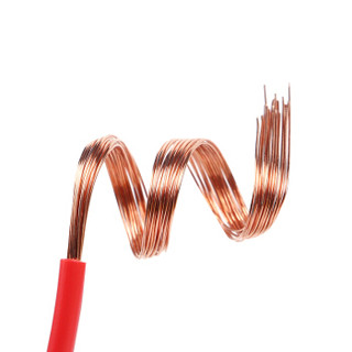 盛佳 SHENGJIA 铜芯塑料软线 BVR1*2.5平方毫米  电线电缆 国标 单芯多股  纯铜 100米 红色