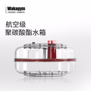 wakagym 哇咖 德国专利5挡调节 北美白蜡木 水阻划船机
