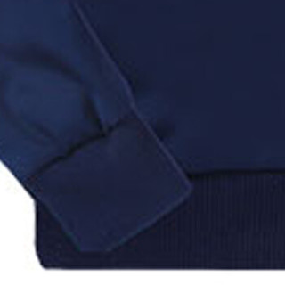 俞兆林（YUZHAOLIN）卫衣套装 男士时尚立领运动长袖卫衣904-W02深蓝色XL