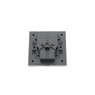 正泰（CHNT）NEW7-S12202一联双二极三(3)极插座10A 250V 墙壁插座 /个 可定制