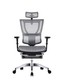 Ergonor 保友办公家具 人体工学电脑椅 黑色（仿生网） 高配版