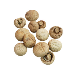 luba绿坝康保特产八月香口蘑300g