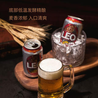 LEO豹王啤酒 泰国原装进口330ml*12听装啤酒 整箱  大麦芽精酿啤酒