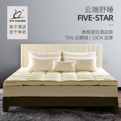 霞珍75%白鹅绒羽绒床垫床褥垫被 双层加厚保暖 香格里拉酒店同款 *2件
