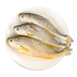 wecook 味库 新鲜冷冻黄花鱼 5斤装