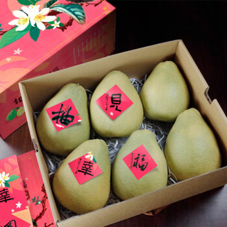 台湾贵玺文旦柚礼盒  柚子  总重约2.8kg/5-7颗  水果礼盒