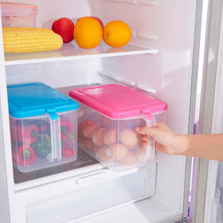 龙士达 塑料食物收纳盒 （6L*4）有盖米桶冰箱储物盒 混色4只装 LJ-0120*4