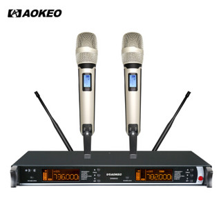 AOKEO SKM9000 专业U段无线话筒一拖二麦克风 家庭ktv手持咪家用无线音响话筒